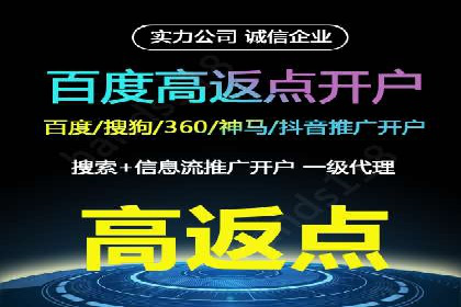 竞价端口开户后的广告投放策略案例